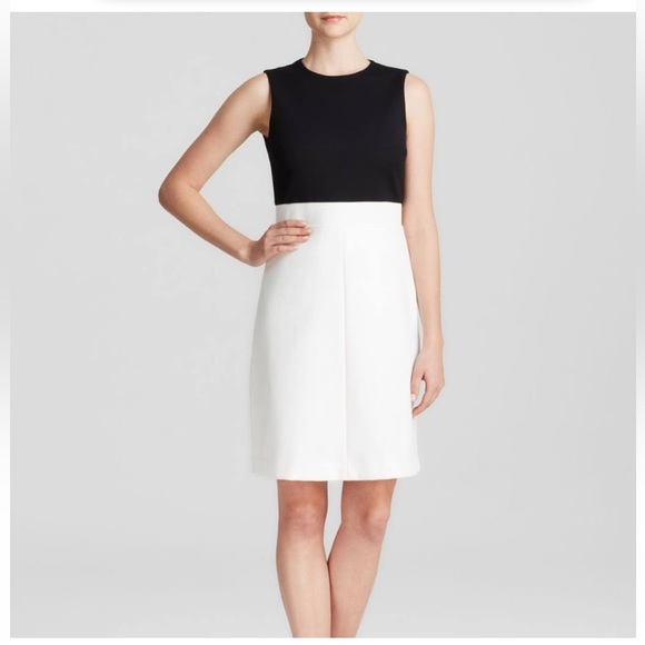 Theory Dresses & Skirts - Theory Raneid Colorblock Dress